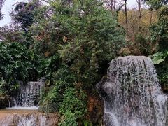 -广州市帽峰山景区
