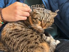 -平行世界·猫咖(首经贸店)