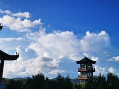 -盐洲岛