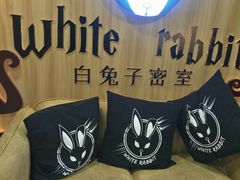 -白兔子密室(长寿路店)