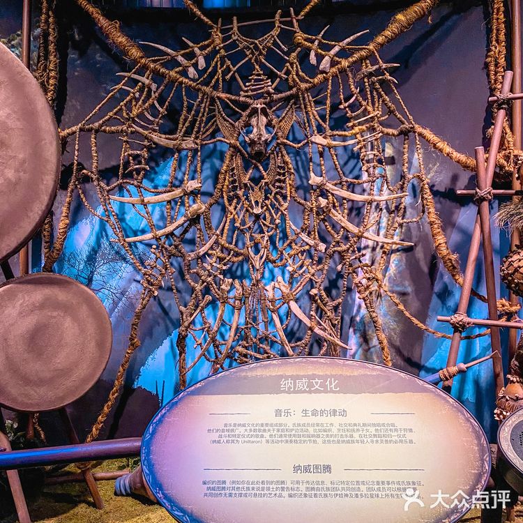 全国首展‼️阿凡达空降成都🧿探索潘多拉星球