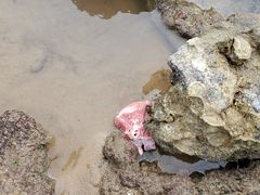 -西秀海滩公园