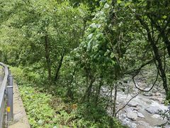 -西岭雪山大飞水景区