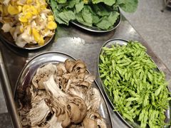 -楠波炭炉鸡煲馆(桥北店)