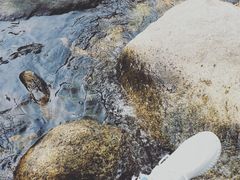 -少华山国家森林公园