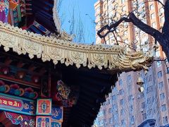 -护国法轮寺