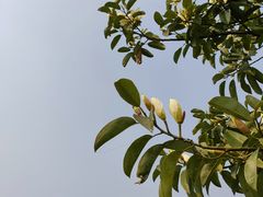 -桤木河湿地公园