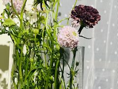 -宝库女装店(绿地缤纷广场店)