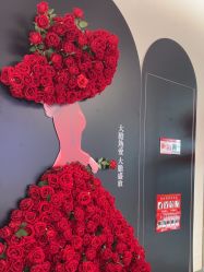 -禾美嘉医疗美容