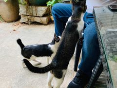 -厦门良筑精品酒店(厦门中山路店)