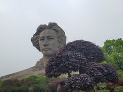 -阿捡忭京炸鸡(韭菜园总店)