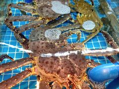 -ONE FULL 古董港式海鲜火锅