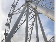 -墨尔本之星 观景摩天轮