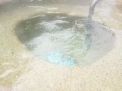 -美林湖温泉别墅度假村