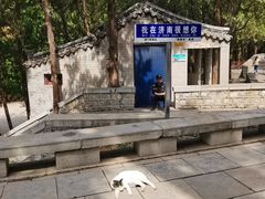 -四门塔风景区