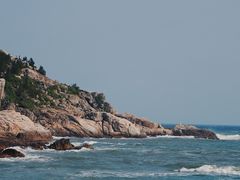 -广东惠东海龟国家级自然保护区