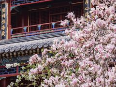 -潭柘寺景区