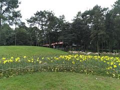 -保利石象湖景区
