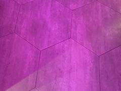 -巢爷老味(东方红店)