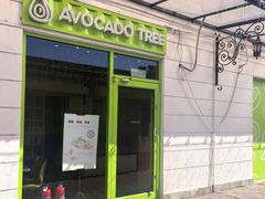 -油梨树AVOCADO TREE(顺义新国展店)