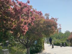 -南翠屏公园