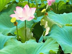 -丝绸小镇荻港古村