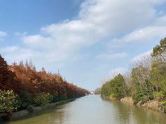 -上海海湾国家森林公园