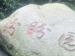 -都江堰中华大熊猫苑