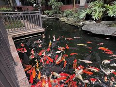 -新世纪大酒楼·30年南海菜