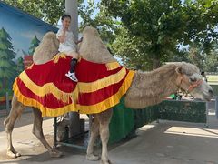 -西霞口神雕山野生动物世界