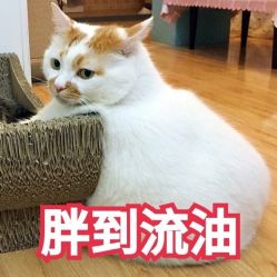 -天秤座发型社