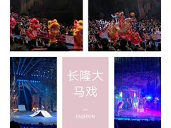 -广州长隆国际大马戏