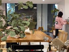 -猫里有甜