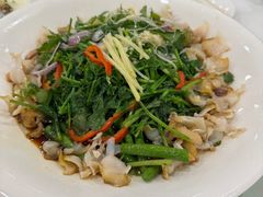 蔥油撈螺片-宜宾海鲜酒家·三十年老字号