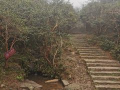 -大姆山草场