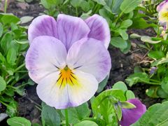 -狼山风景名胜区