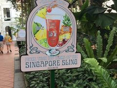 -Long Bar(莱佛士酒店)