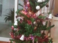 -麦当劳(昆山北门路店)