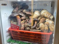 -太婆天府山珍酒楼(亚运村店)