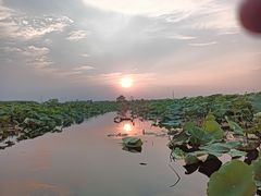 -白洋淀景区