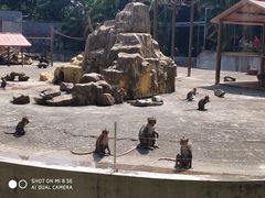 -广东茂名森林公园