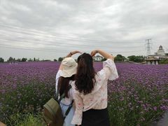 -紫颐香薰山谷景区