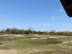 -宁波野生动物园