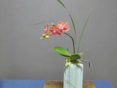 -荷兰布尔玛国际花艺学院