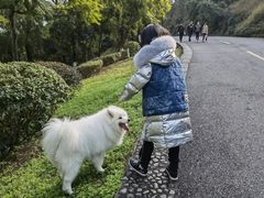 -张坝桂圆林公园