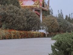 -洛阳白马寺