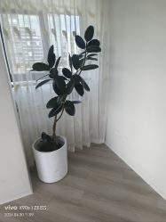 -HEYAN荷妍专业脱毛连锁机构