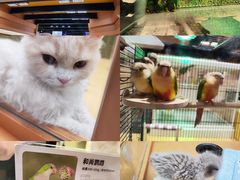 -帕帕拉兹宠物(亚洲旗舰店)