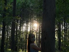 -黄海国家森林公园