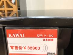 -柏斯琴行(汾阳店)